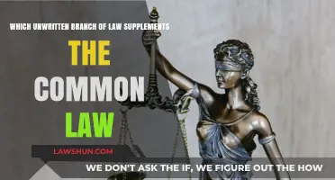 Understanding the Role of Equity in Common Law