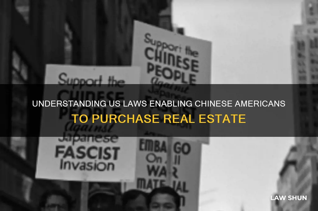 which us law allows american chinese to buy real estate