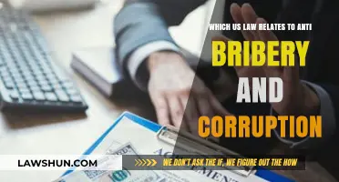 Understanding the US Foreign Corrupt Practices Act: Anti-Bribery Laws Explained