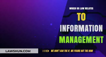 Understanding US Information Management Laws: Key Regulations and Compliance