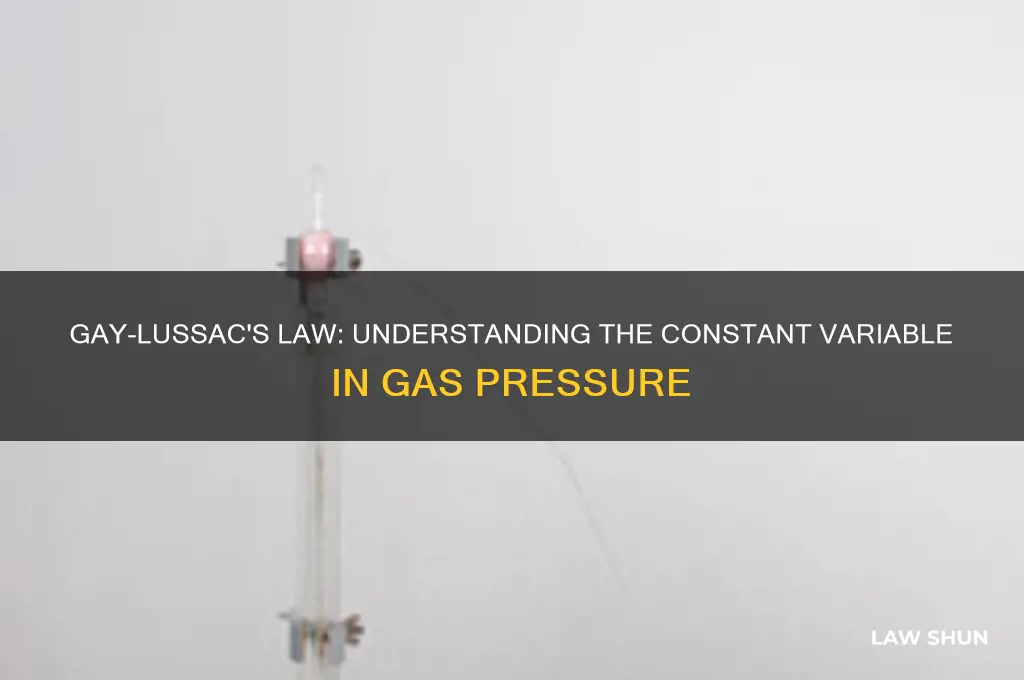 which variable is held constant in gay-lussaac