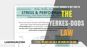 Unraveling the Yerkes-Dodson Law: The Missing Variable Explained