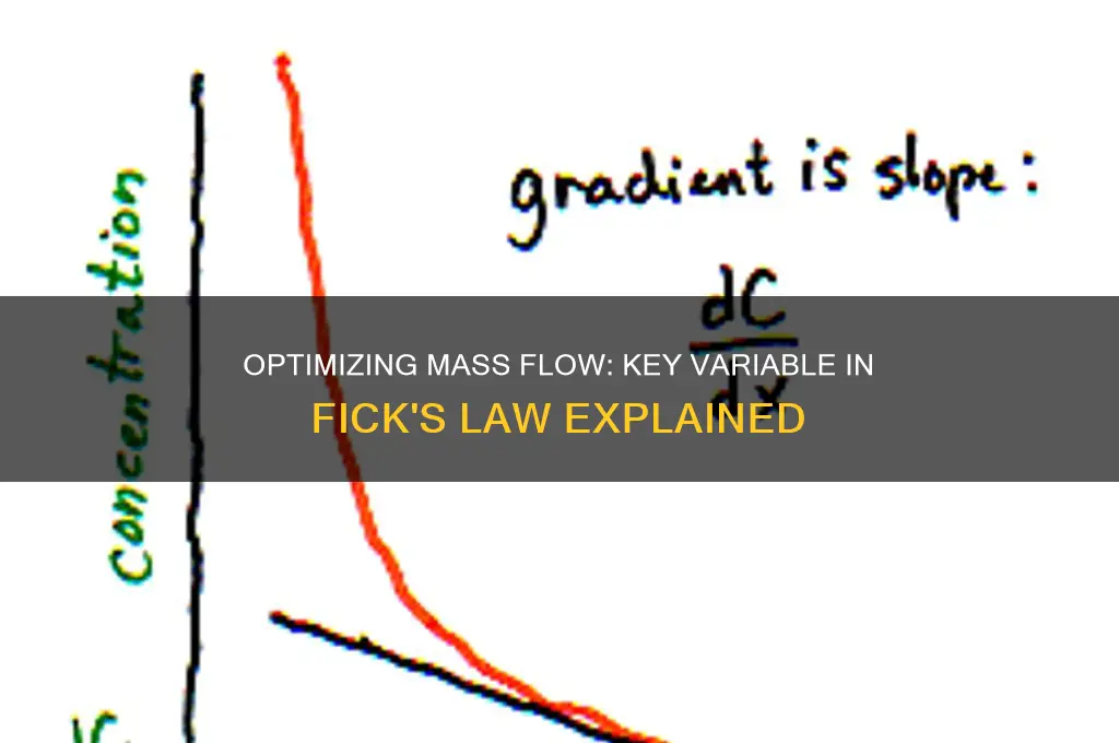 which variable of fick