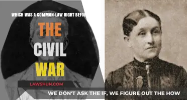 The Civil War's Common-Law Rights Legacy