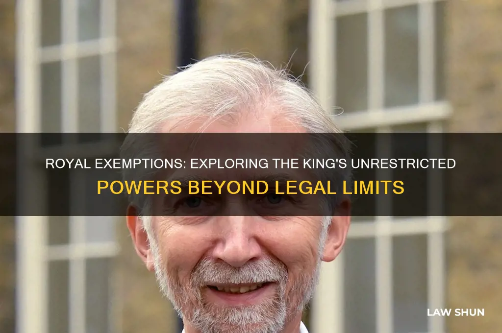 which was not limited by the law for the king