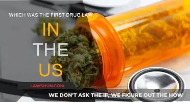 The First Drug Law in the US: A Historical Perspective