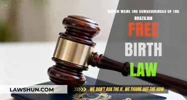 Brazilian Free Birth Law: Unraveling Its Societal and Economic Impacts