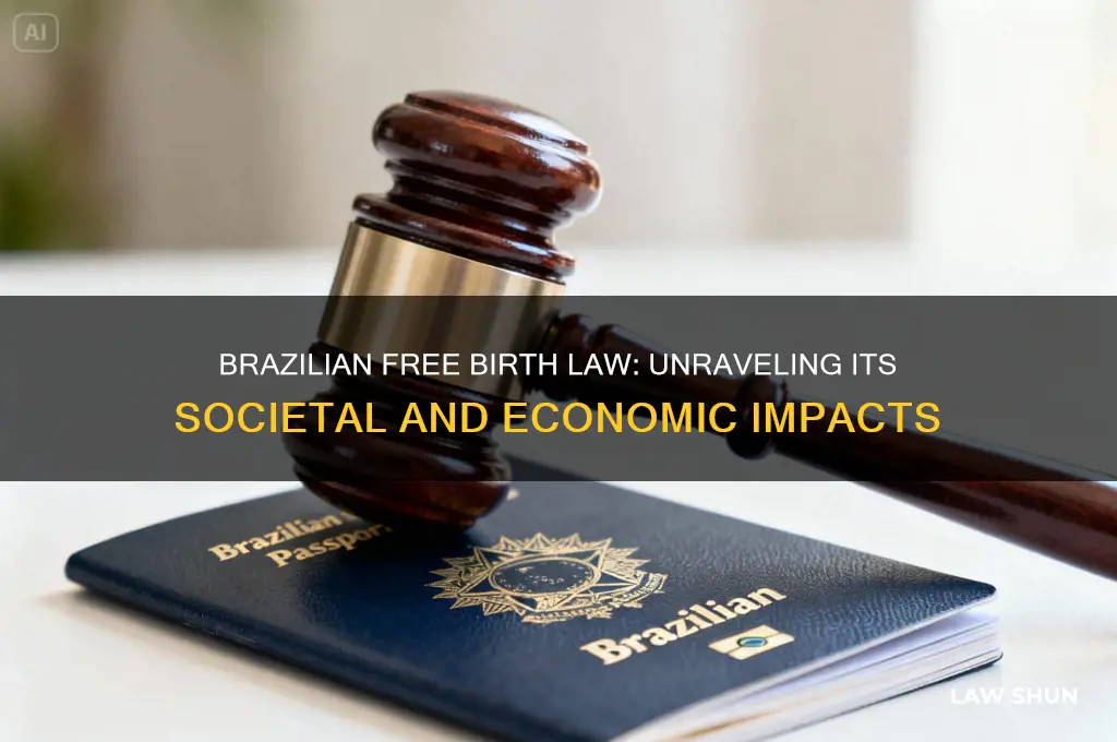 which were the consequences of the brazilian free birth law