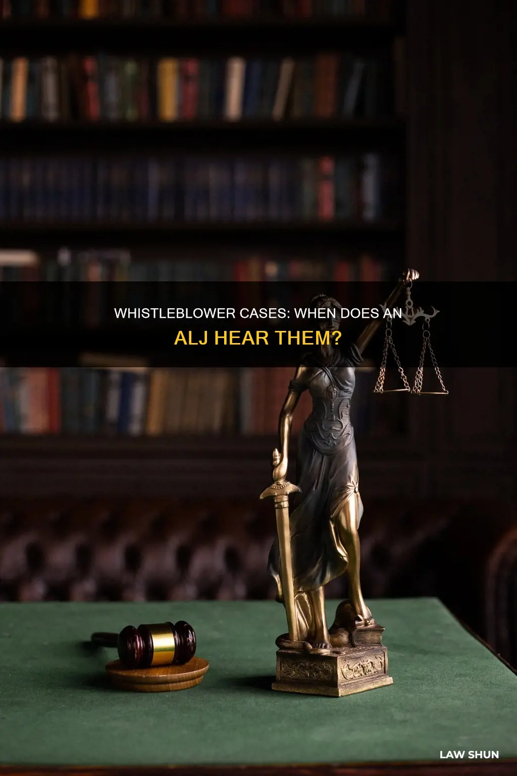 which whistleblower cases are heard by an administrative law judge