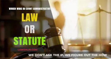 Statute vs. Administrative Law: Which Holds More Weight in Court?