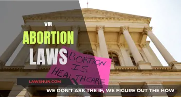 Abortion Laws: A Woman's Right to Choose