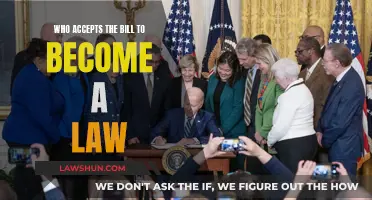 Who Makes a Bill a Law?