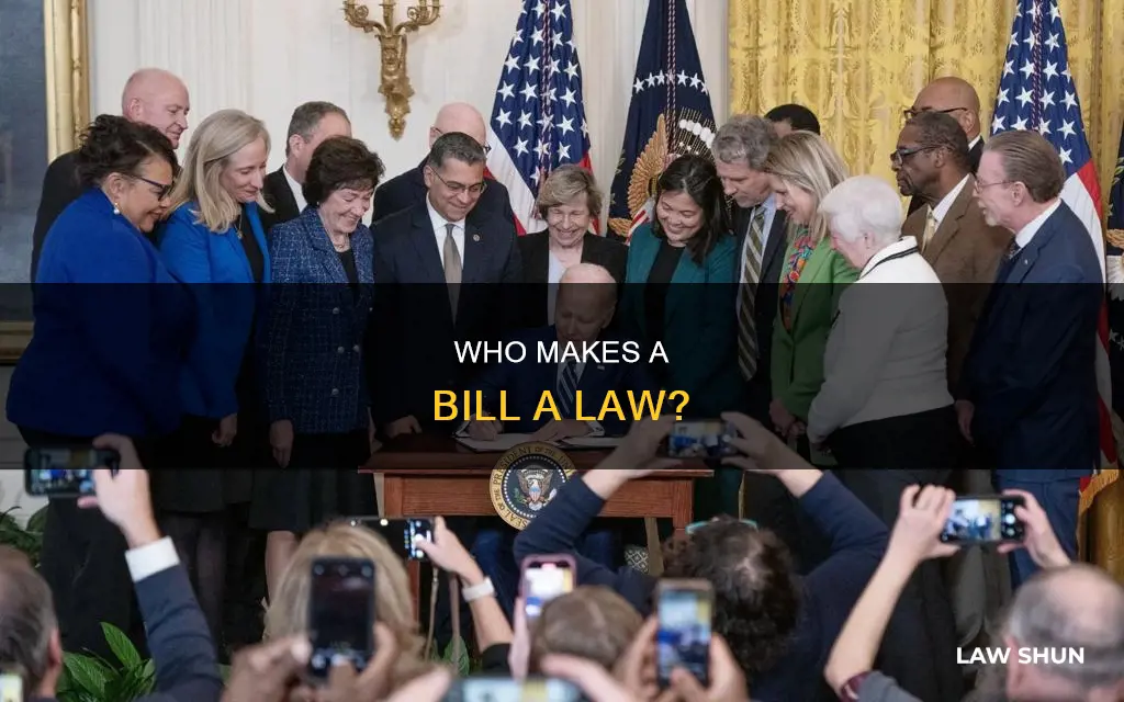 who accepts the bill to become a law