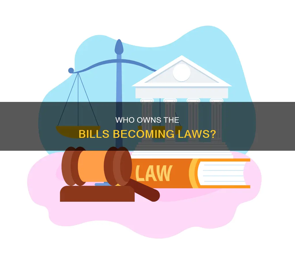 who actually owns the bills that become laws