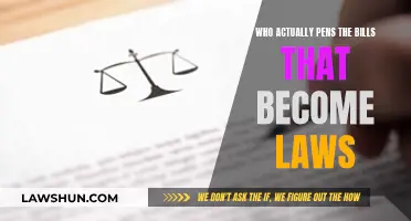 Who Really Writes the Laws?