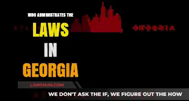 Understanding Georgia's Legal Governance: Who Administers the State's Laws?