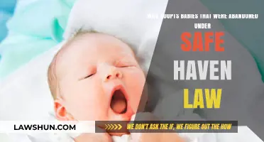 Safe Haven Adoptions: Who Welcomes Abandoned Babies into Loving Homes?