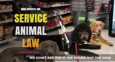 Understanding Service Animal Laws: Key Influencers and Their Impact