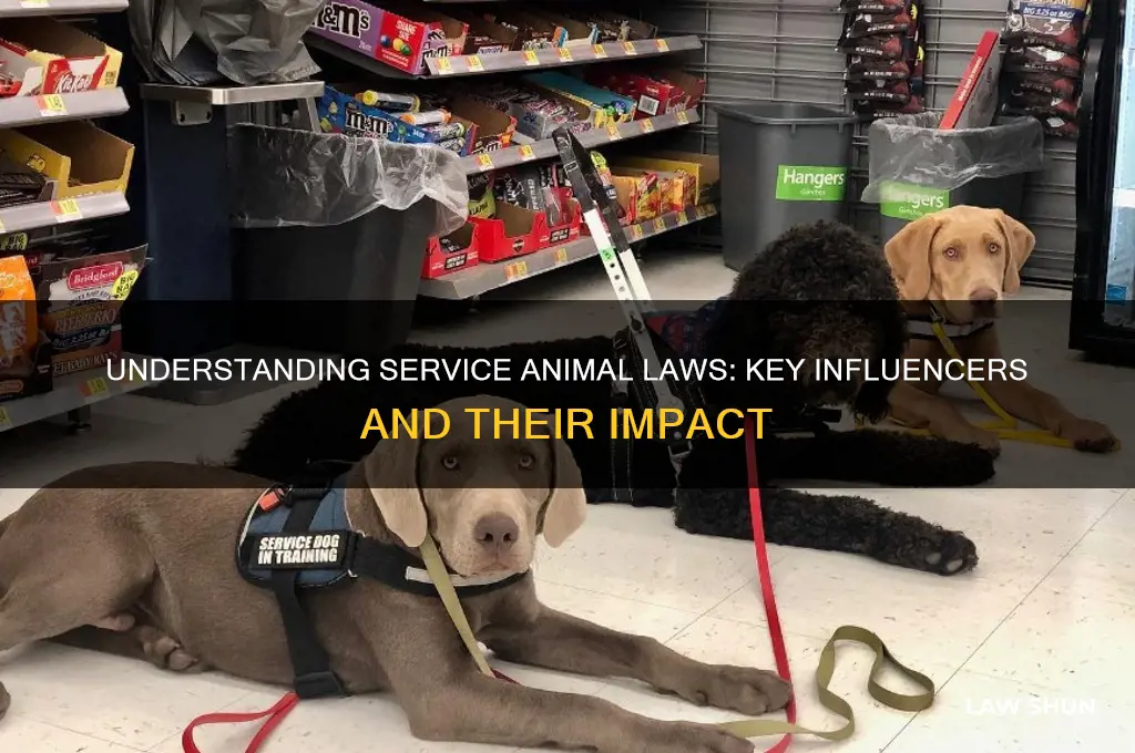 who affects the service animal law