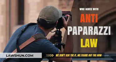 Supporting Privacy: Who Agrees with Anti-Paparazzi Laws and Why?