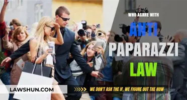 Supporting Anti-Paparazzi Laws: Who Stands Behind Celebrity Privacy Rights?
