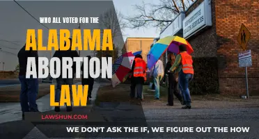 Alabama Abortion Law: Who Voted and Why?