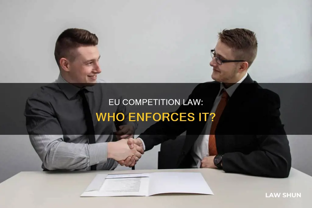 who applies the eu competition law