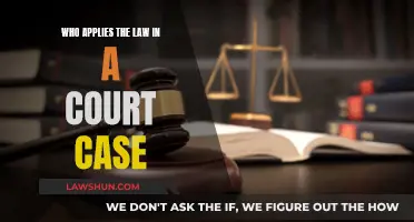 Who Enforces the Law in Court?