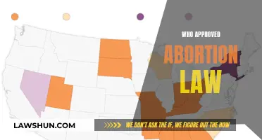 Abortion Law: Who Decides and Approves?