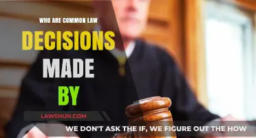 How Common Law Decisions are Made