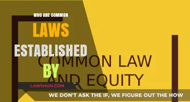 How Common Law is Established