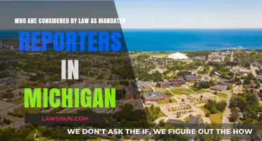 Michigan's Mandated Reporters: Legal Obligations and Key Professionals