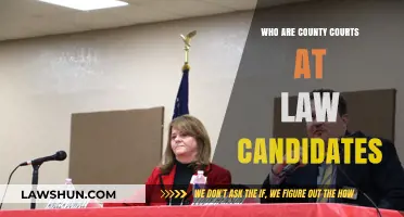 Understanding County Courts at Law Candidates: Roles, Responsibilities, and Qualifications