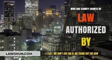 Understanding the Authority Behind County Courts of Law: A Comprehensive Guide