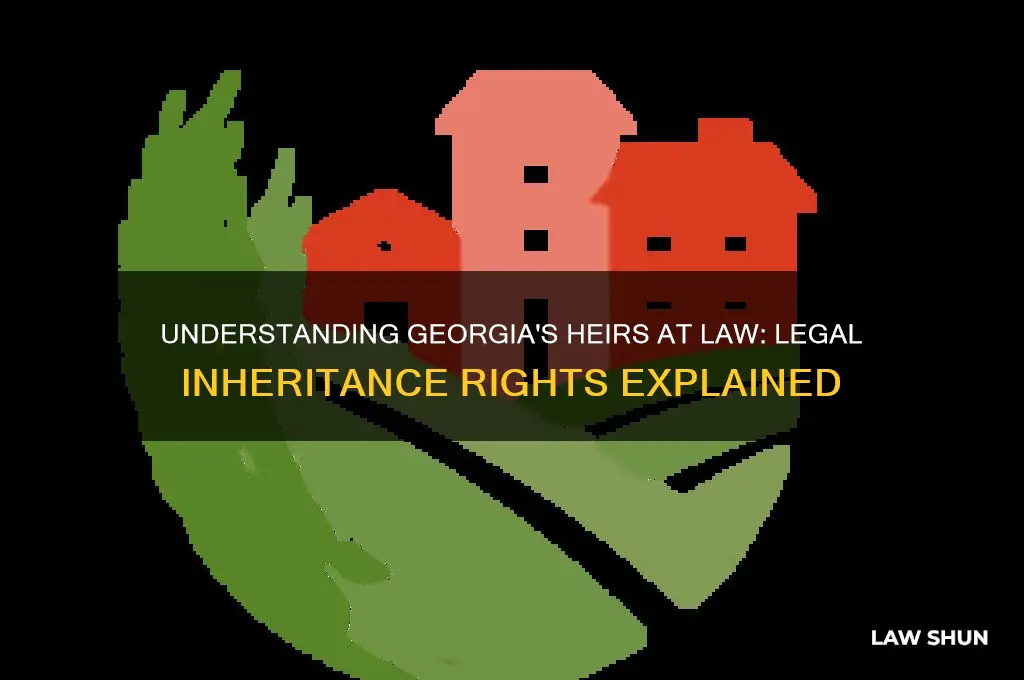 who are heirs at law in georgia