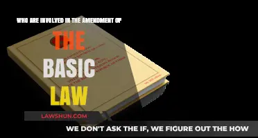 Key Players in Amending the Basic Law: Roles and Responsibilities