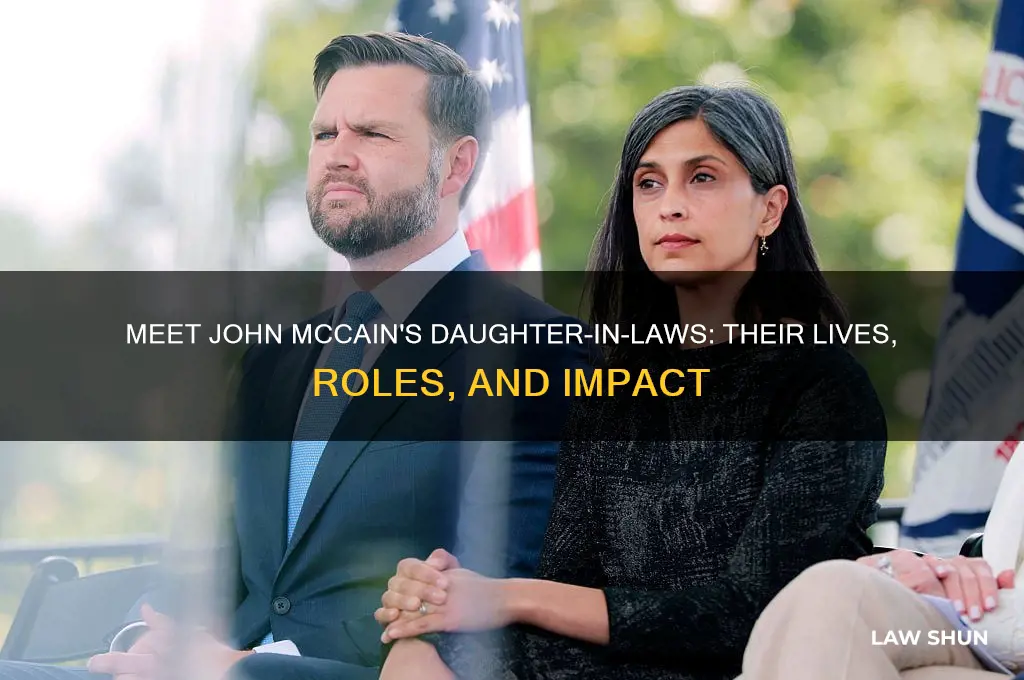 who are john mccain daughter laws