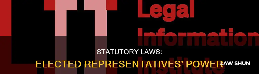 who are statutory laws created by elected representaives