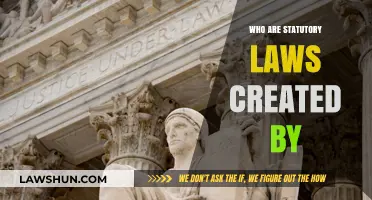Statutory Laws: Who Creates Them?