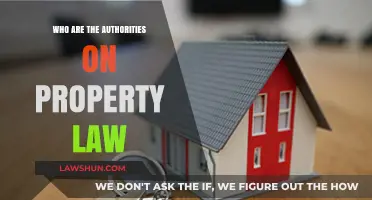 Leading Experts in Property Law: Who Are the Authorities?