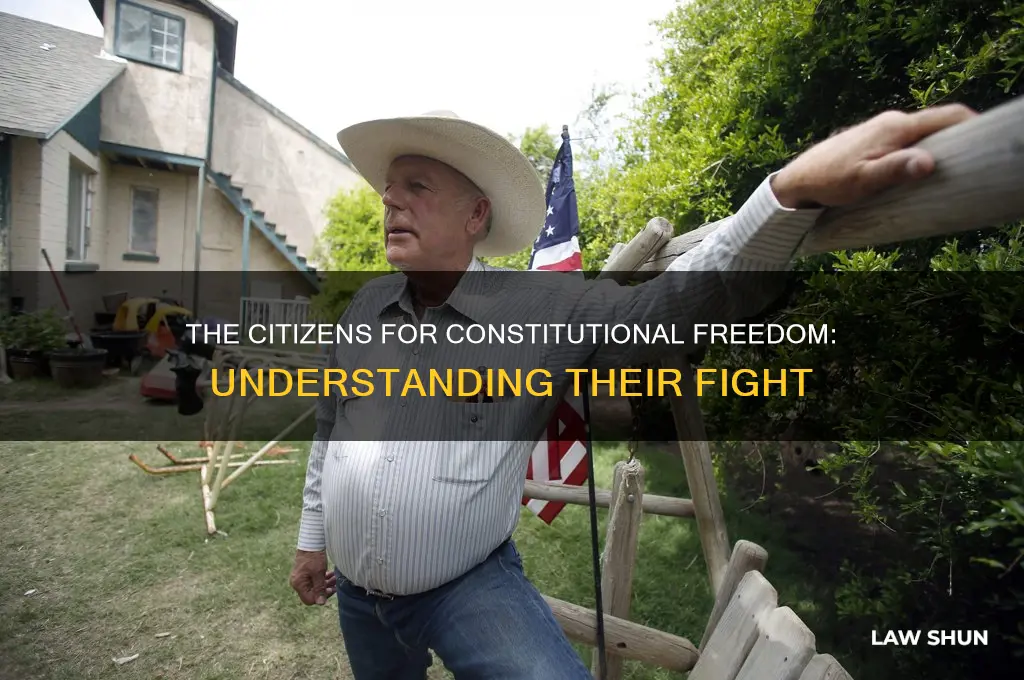 who are the citizens for constitutional freedom southern poverty law