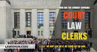 Meet the Current Supreme Court Law Clerks: Key Players Behind the Bench