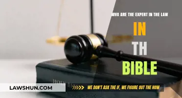 Biblical Legal Experts: Unveiling the Guardians of Divine Law