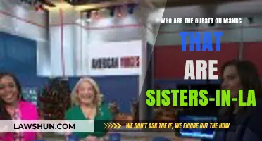 Meet the Sister-in-Law Duo Making Waves on MSNBC
