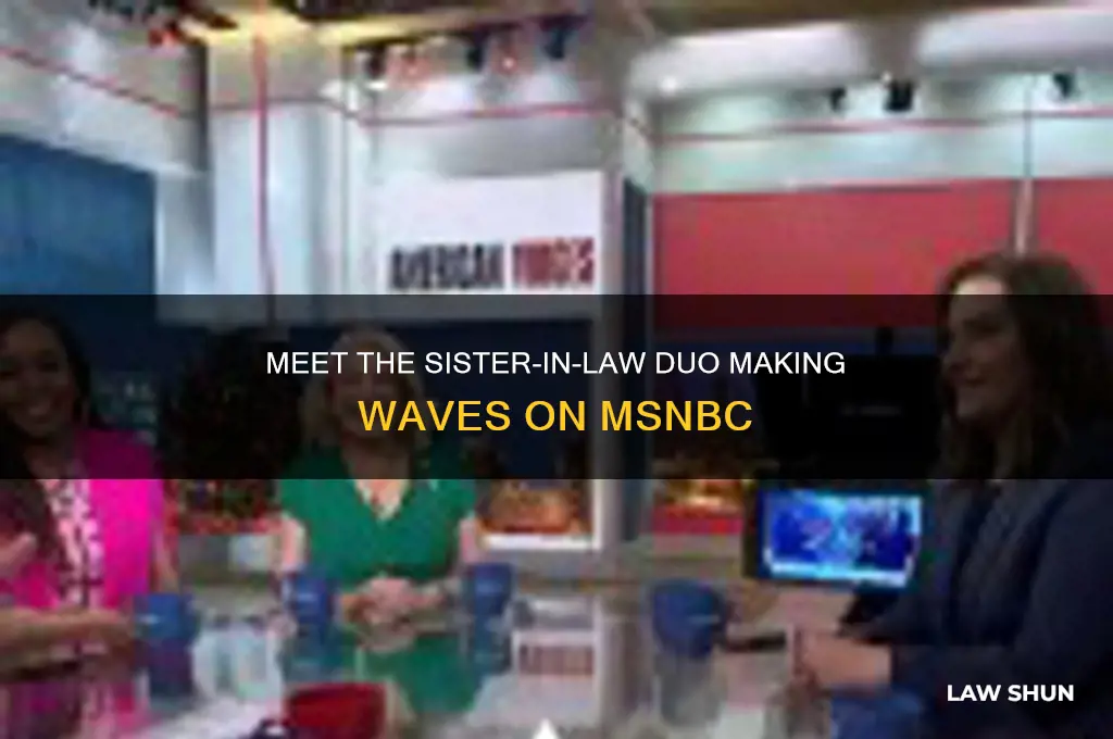who are the guests on msnbc that are sisters-in-law