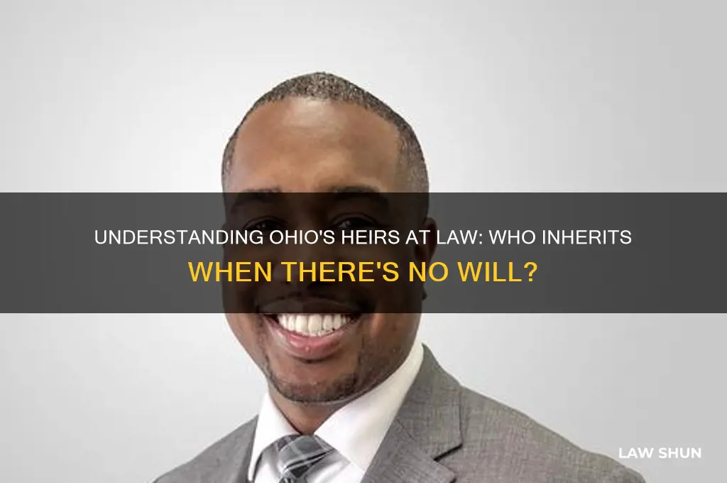 who are the heirs at law in ohio