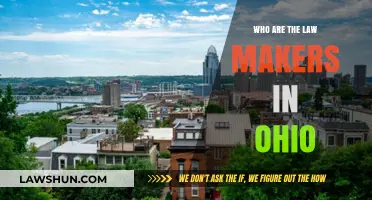 Understanding Ohio's Lawmakers: Who Shapes the Buckeye State's Legislation?