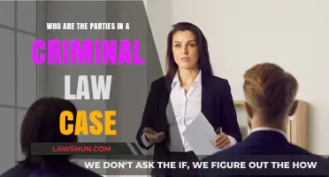 Key Players in a Criminal Case