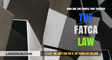 The Architects Behind FATCA Law