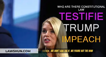 Trump Impeachment: Constitutional Law Experts Testify